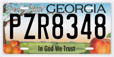 GA license plate PZR8348
