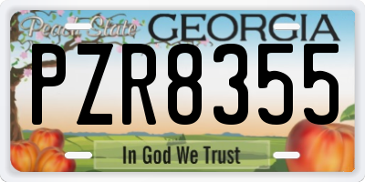GA license plate PZR8355