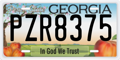 GA license plate PZR8375