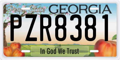 GA license plate PZR8381