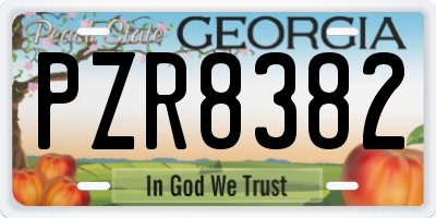 GA license plate PZR8382