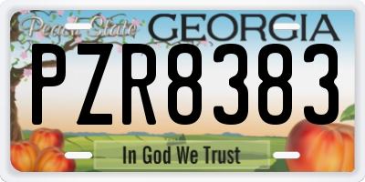 GA license plate PZR8383