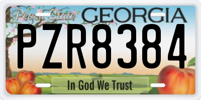 GA license plate PZR8384