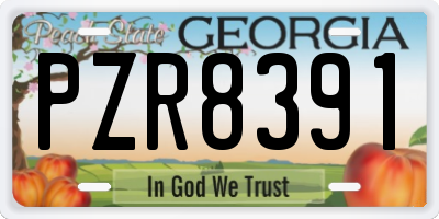 GA license plate PZR8391