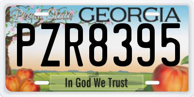 GA license plate PZR8395
