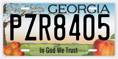 GA license plate PZR8405