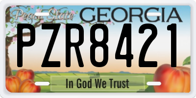 GA license plate PZR8421