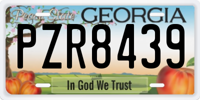 GA license plate PZR8439