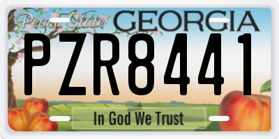 GA license plate PZR8441