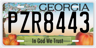 GA license plate PZR8443