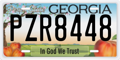 GA license plate PZR8448
