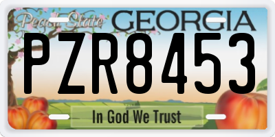 GA license plate PZR8453