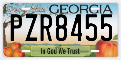GA license plate PZR8455