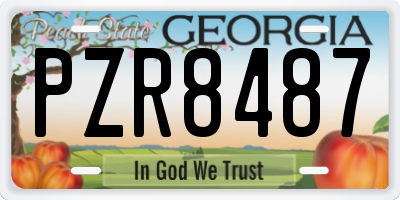 GA license plate PZR8487