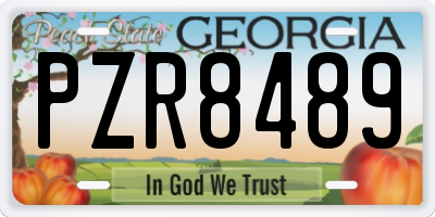 GA license plate PZR8489
