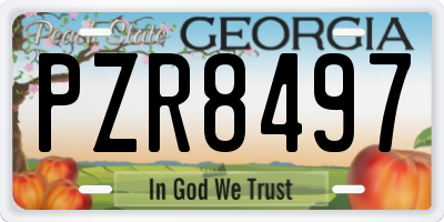GA license plate PZR8497