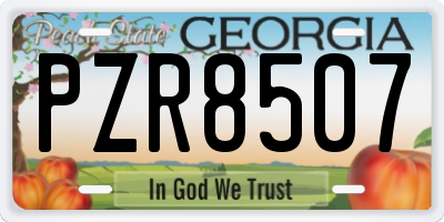 GA license plate PZR8507