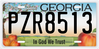 GA license plate PZR8513