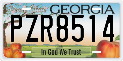 GA license plate PZR8514