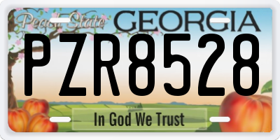 GA license plate PZR8528