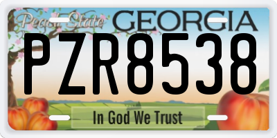 GA license plate PZR8538
