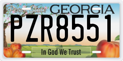 GA license plate PZR8551