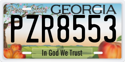 GA license plate PZR8553