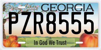 GA license plate PZR8555