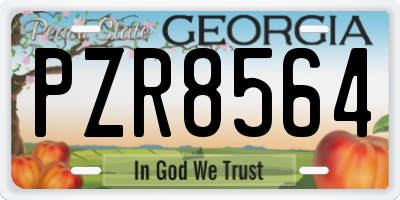 GA license plate PZR8564