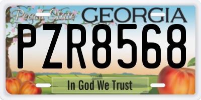 GA license plate PZR8568