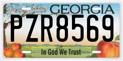 GA license plate PZR8569