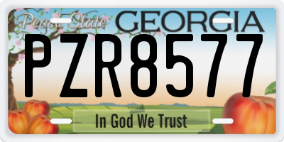 GA license plate PZR8577