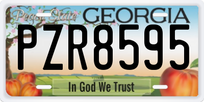 GA license plate PZR8595
