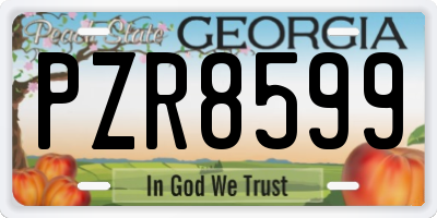 GA license plate PZR8599