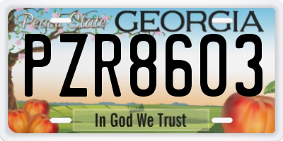 GA license plate PZR8603