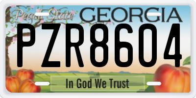 GA license plate PZR8604