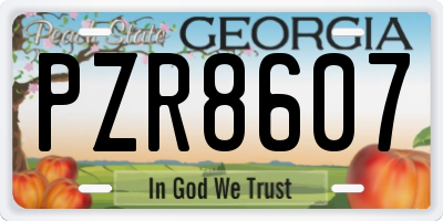 GA license plate PZR8607