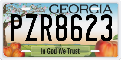 GA license plate PZR8623