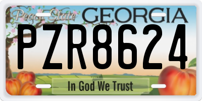 GA license plate PZR8624
