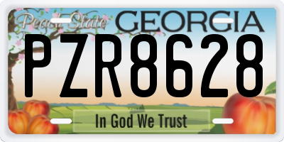 GA license plate PZR8628