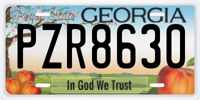GA license plate PZR8630
