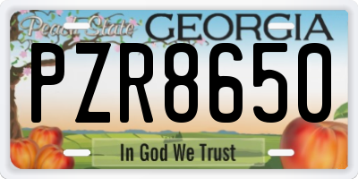 GA license plate PZR8650