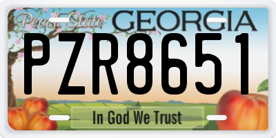 GA license plate PZR8651