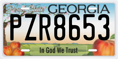 GA license plate PZR8653