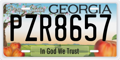GA license plate PZR8657