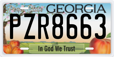 GA license plate PZR8663