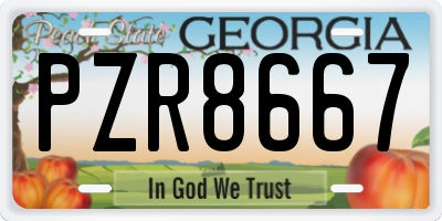 GA license plate PZR8667