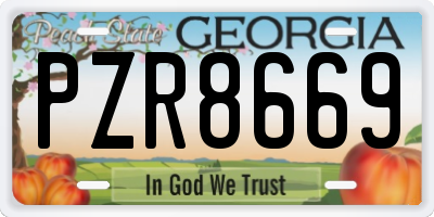 GA license plate PZR8669