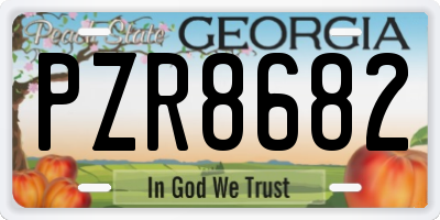 GA license plate PZR8682