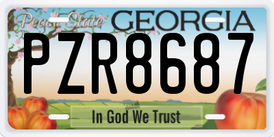 GA license plate PZR8687